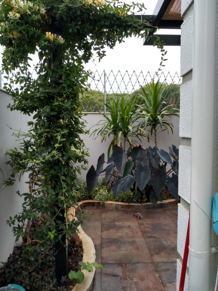 Paisagismo em Área Reduzida em Campinas: do fundo árido ao jardim habitável