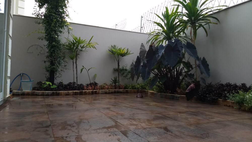 Do fundo árido, emerge um jardim: a arquitetura abre, a vegetação estrutura e o espaço se torna permanência